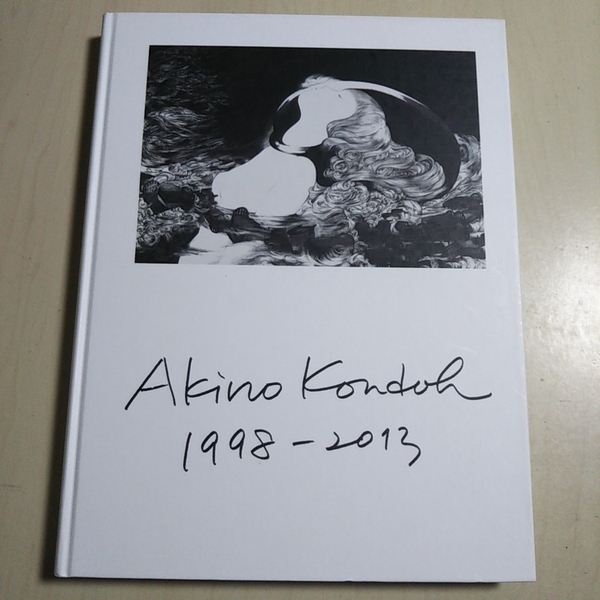 近藤聡乃作品集 Akino Kondoh 1998~2013 ナナロク社 2013年初版第1刷 画集 中古 近藤聡乃 009