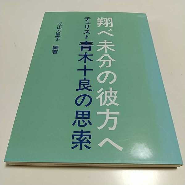 翔べ未分の彼方へ チェリスト 青木十良の思索 丘山万里子 楽 1995年発行 中古 クラシック 古典 音楽 チェロ 背やけ有