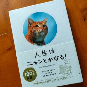 人生はニャンとかなる!ポジティブ思考 動物 可愛い 値下げ中…