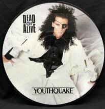 LP 日本企画ピクチャー盤【Youthquake ユースクエイク】DEAD OR ALIVE（デッド・オア・アライヴ）_画像5