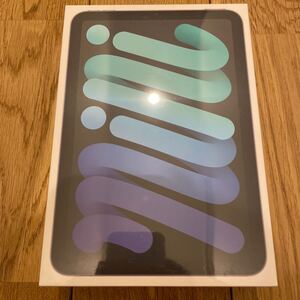 iPad mini Wi-Fi 256GB スペースグレイ 2021年モデル 新品 未開封