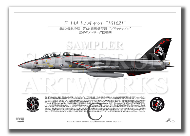 2023年最新】ヤフオク! -f-14 ブラックナイツの中古品・新品・未使用品一覧