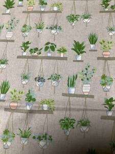 綿麻 キャンバス 110×200cm 生地 はぎれ 日本製 観葉植物