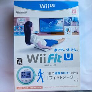 新品未使用 Wii U フィットメーターセット ミドリ