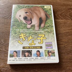 きな子　DVD レンタル落ち　寺脇康文