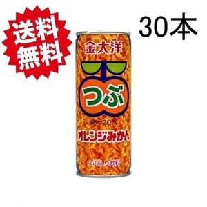【送料無料】☆金太洋 つぶ オレンジみかん ジュース 250g 1ケース (30本入り)