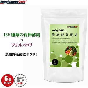 6袋セット enjoy365 濃縮野菜酵素 酵素　サプリ 169種類の食物酵素発酵サプリ・やさい酵素・野菜酵素 ダイエットサポートサプリメント　