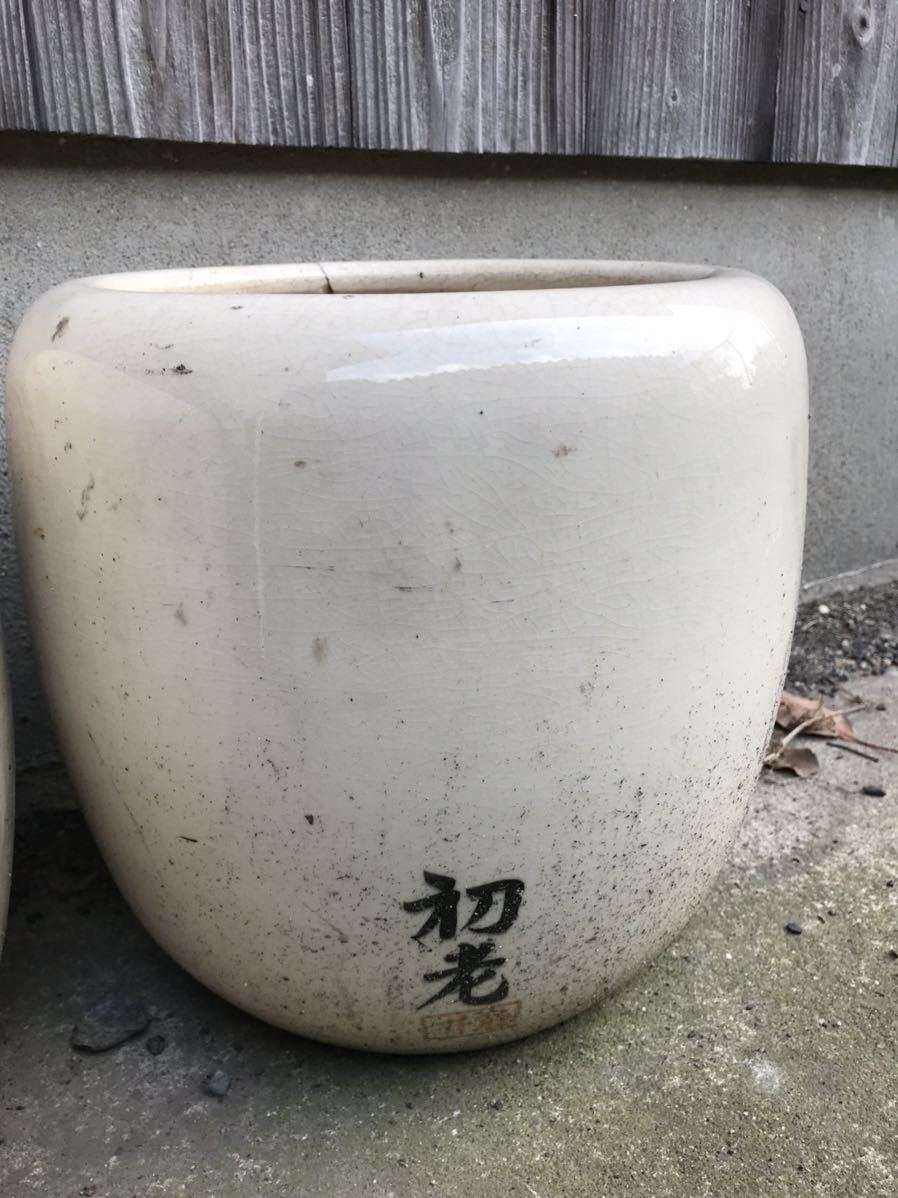 ヤフオク! -火鉢 めだかの中古品・新品・未使用品一覧