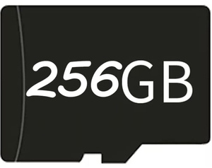 RG351MP・RG351V用MicroSDカード　システムカード256GB