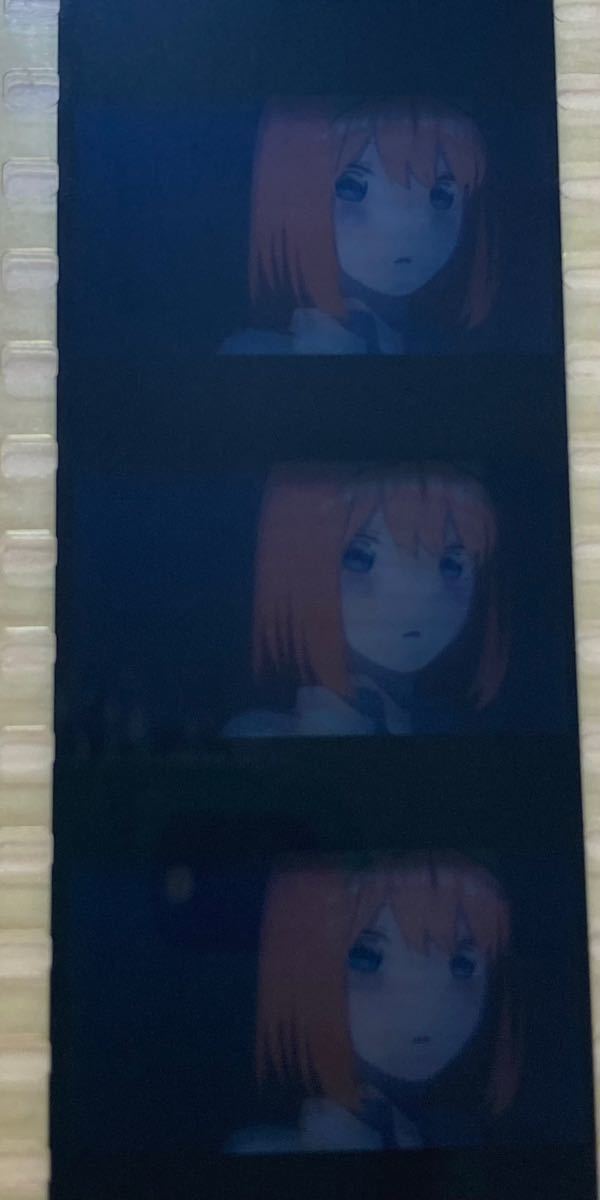 映画 五等分の花嫁 生コマフィルム 一花 二乃 三玖 四葉 五月 集合 ...