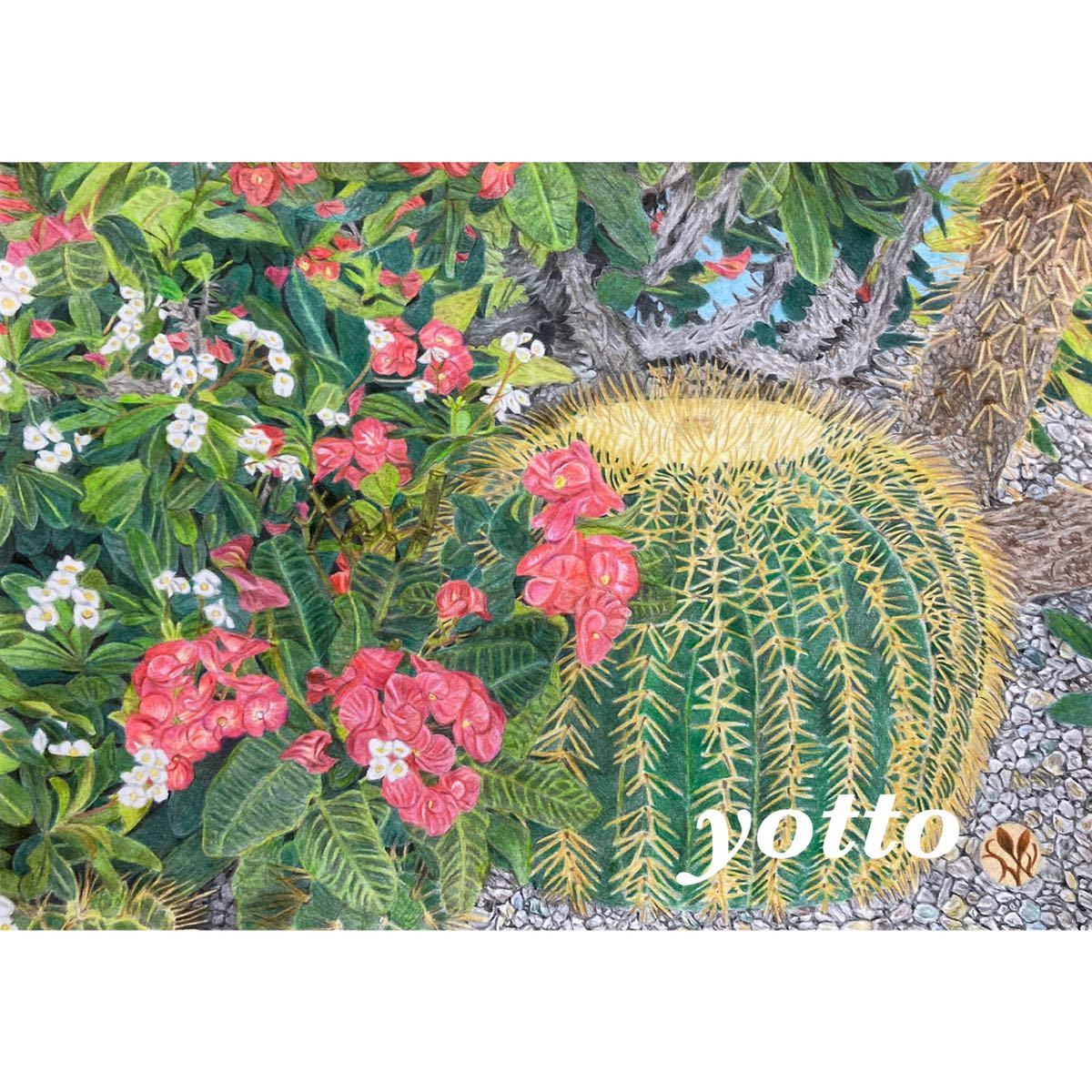 Dessin au crayon de couleur Cactus et Fleur Kirin format A4 avec cadre ◇ ◆ Dessiné à la main ◆ Yotto ◇, ouvrages d'art, peinture, Dessin au crayon, Dessin au charbon de bois