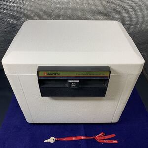 ★大阪堺市/引き取り可★Sentry Safe 耐火金庫 保管庫 ポータブル 簡易 収納 保存 安全 鍵付き 約幅38cm×高さ34cm×奥行き28cm★