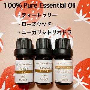 アロマオイル 5ml 3本セット ティートゥリー ローズウッド ユーカリシトリオドラ