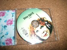 [CD][送料無料] Teen Spirit 輸入盤 2枚組_画像3