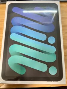 iPad mini 第6世代 Wi-Fiモデル 256GB 未使用未開封 グレー