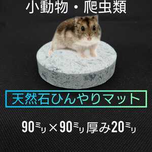 hi... mat seat cold want hamster lizard snake mouse frog pet small animals reptiles amphibia 