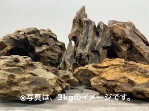気孔石 ５kgセット　★2,980円スタート　（自然石／レイアウト石／水槽／アクアリウム/苔テラリウム）