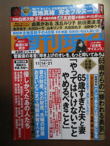 週刊現代2020年11/14　宮地真緒　日本一の美脚　田畑義夫　白洲次郎と白洲正子　血液とは何か　太地喜和子 65歳すぎた夫と妻やめるべきこと