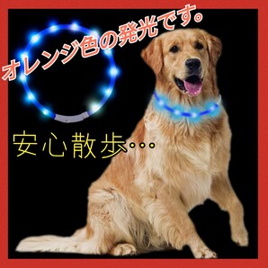 LED光る首輪 安全対策 視認性 3つの発光モード usb充電式 装着簡単