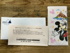 東京ディズニーリゾート　ディズニーランド　ディズニーシー　ミニタオルハンカチ　非売品　新品　未開封　ミッキーマウス　ミニーマウス