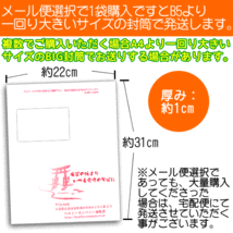 国産おからパウダー500ｇ（国産大豆使用 乾燥 粉末）「メール便 送料無料」_画像2