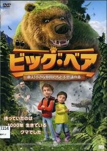 * большой * Bear ..! маленький компания ... тайна. лес *(DVD* в аренду версия )