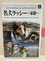 【名犬ラッシー★〜家路〜】洋画DVD（中古DVD）映画DVD（DVDソフト）激安！！！《送料全国一律180円》_画像1