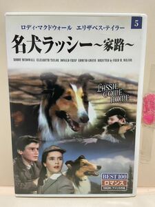 【名犬ラッシー★〜家路〜】洋画DVD（中古DVD）映画DVD（DVDソフト）激安！！！《送料全国一律180円》