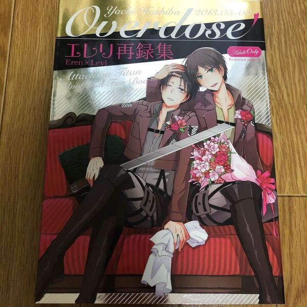 同人誌 進撃の巨人エレリ OVERDOSE様 再録集