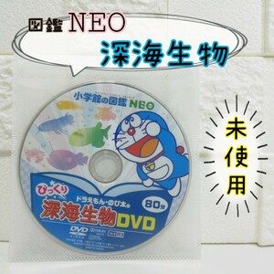 小学館の図鑑 NEO 深海生物 DVD単品