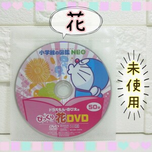小学館の図鑑 NEO 花 DVD単品