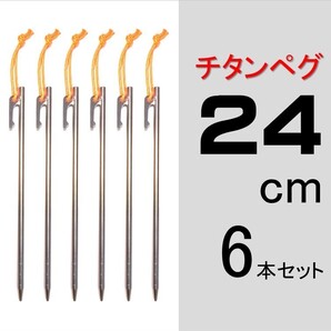 【送料無料】チタンペグ 24cm 6本セット