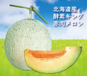 北海道産 酵素キングメロン 赤肉メロン 8kg 有機酵素栽培
