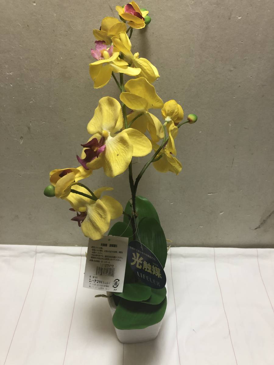 大幅値下げ!期間限定価格!売切新品未使用光触媒 胡蝶蘭S 黄色早い者勝ち!