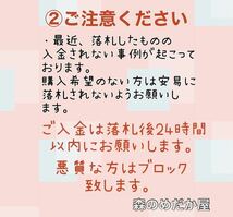 光合成細菌 PSB エビオス錠 ゾウリムシ ミジンコ めだか 針子 餌 培養_画像8