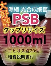 光合成細菌 PSB エビオス錠 ゾウリムシ ミジンコ めだか 針子 餌 培養_画像1