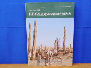 日中/中日共同 丹丹鳥里克遺跡学術調査報告書　ダンダンウイリク遺跡学術調査隊