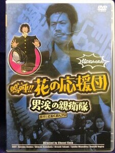 94_00251 嗚呼！！花の応援団 男涙の親衛隊/（出演）本間進 河原崎長一郎 なぎら健壱 宮下順子等/音声：モノラル／ドルビーデジタル／日