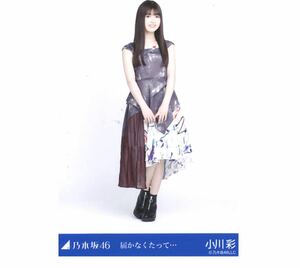 ｛0｝乃木坂46 公式グッズ 生写真 1枚　小川彩　ヒキ　乃木坂46 届かなくたって… 2022.May