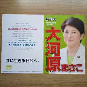 ☆ 平成25年 参議院選挙 無所属 大河原まさこ チラシ ☆