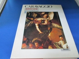 Art hand Auction Caravaggio (BSS Gallery World Masters) Großes Buch 1991/3/1 Alfred Moir (Autor), Malerei, Kunstbuch, Sammlung von Werken, Kunstbuch