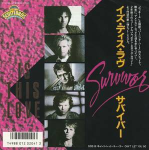 Survivor　サバイバー　Is This Love　国内盤 7” シングルレコード　：　Scotti Bros. Records 7Y0115