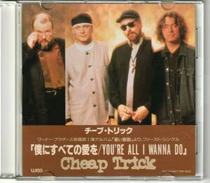 CHEAP TRICK　 チープ・トリック　You're All I Wanna Do　　1994年 国内盤 PROMO CDシングル 