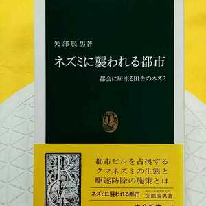 ネズミに襲われる都市　都会に居座る田舎のネズミ （中公新書　１４２３） 矢部辰男／著