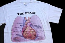 デッドストック★90s Hanes Anatomical Chart Co. THE HEART 人体 臓器 心臓 コットンTシャツ 白 S★オールド ビンテージ 内蔵 解剖図_画像1