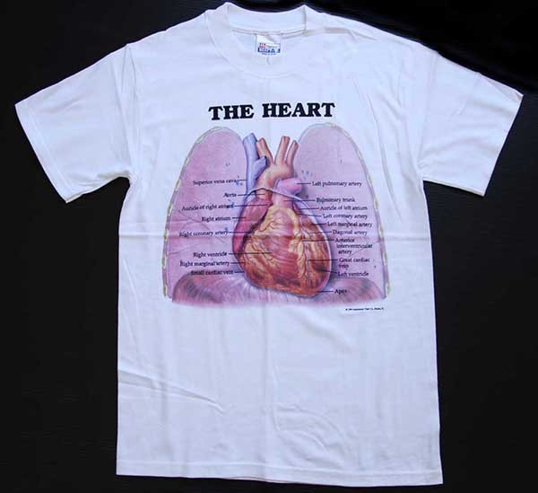 デッドストック☆90s Hanes Anatomical Chart Co. THE HEART 人体 臓器