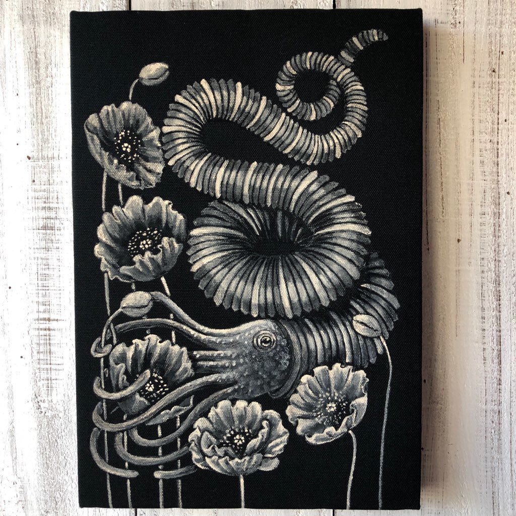 Abnormally Rolled Ammonite SM size framed art piece, original acrylic painting, ancient, Deep Sea Creatures by Yoko Tokushima ★ Starry Night Cat, Artwork, Painting, acrylic, Gash