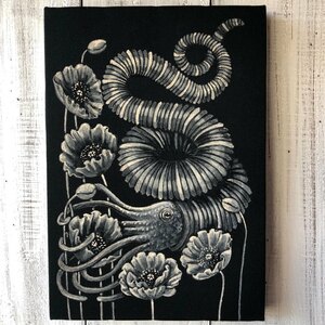 Art hand Auction Abnormally Rolled Ammonite SM size framed art piece, original acrylic painting, ancient, Deep Sea Creatures by Yoko Tokushima ★ Starry Night Cat, Artwork, Painting, acrylic, Gash