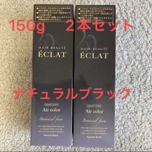 【公式】 ヘアボーテエクラ ボタニカル ナチュラルブラック 白髪染め ボタニカルエアカラーフォーム 150g × 2本