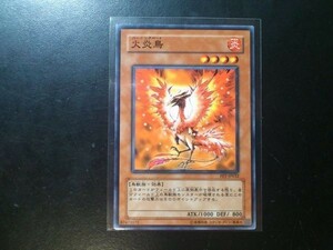 コレクター向け 遊戯王 ノーマル 火炎鳥 FET-JP032